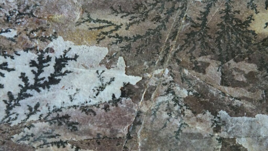 La inmensa mayoría del territorio está formado por pizarras, esquistos y grauvacas. Tan sólo a lo largo del río Erjas y en la cabecera del río Sever afloran las rocas graníticas.