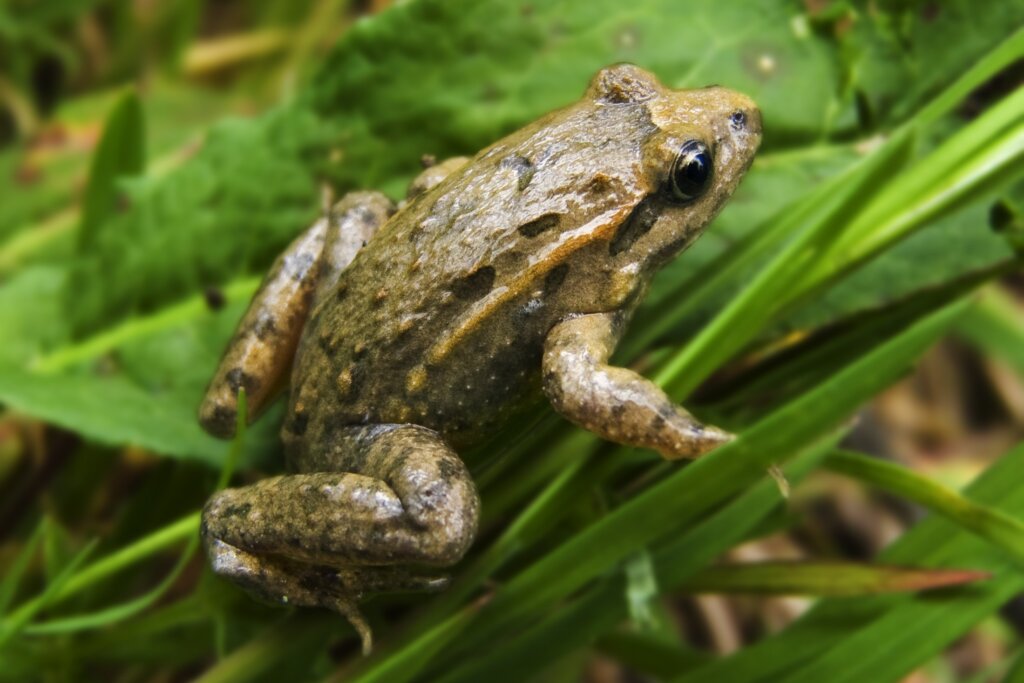 A lo largo de la Historia estos ricos valles, muchas veces tierras de transición, han sido poblados por diferentes culturas que han labrado profundamente sus huellas en el territorio, atesorando un patrimonio cultural único que es uno de los mayores atractivos del Tajo Internacional.