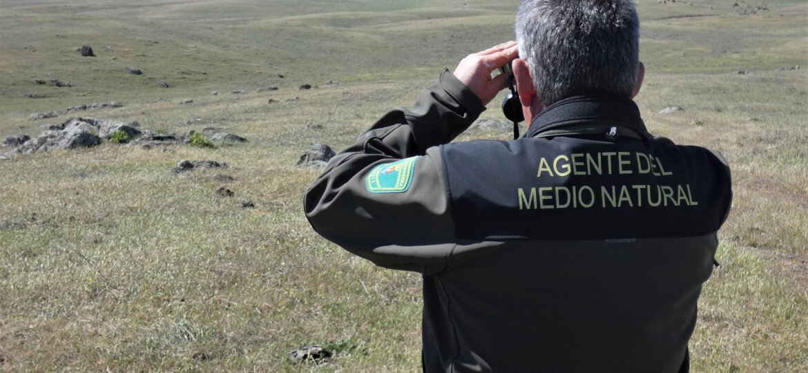 SEGUIMIENTO DE AVES ESTEPARIAS