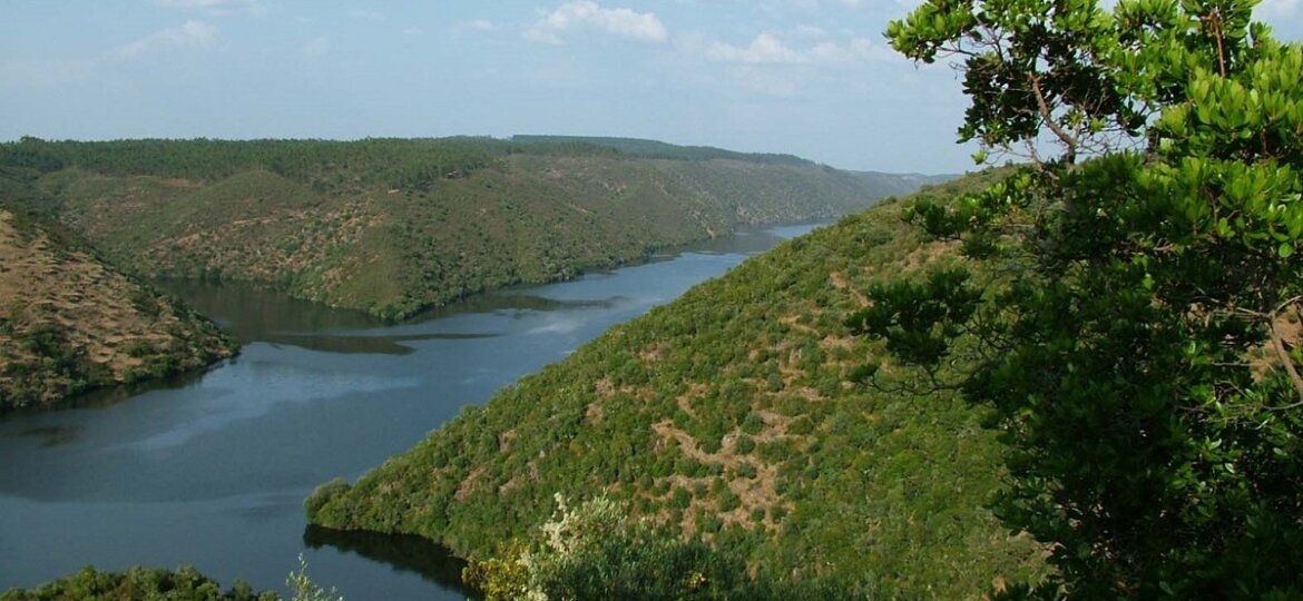 RÍO TAJO INTERNACIONAL EN CEDILLO