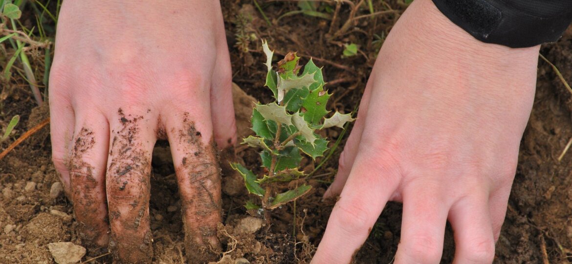 EDUCACIÓN AMBIENTAL