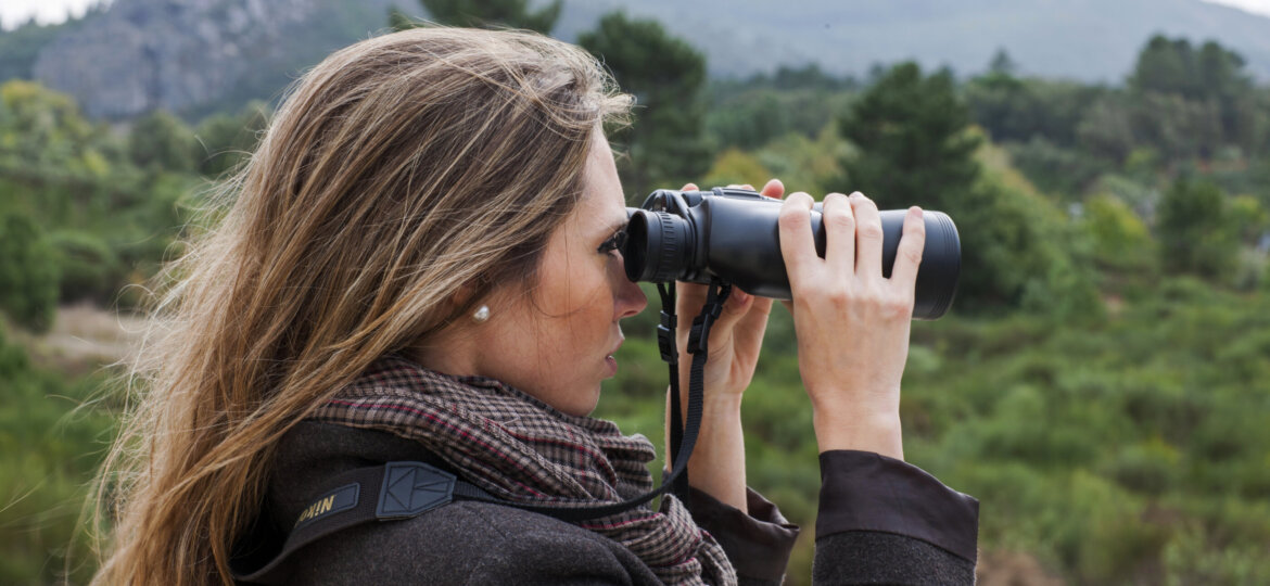 OBSERVACIÓN DE AVES